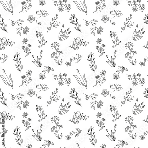 Seamless vector floral pattern, wildflowers hand drawn graphic botanical illustration, doodle sketch isolated on white background