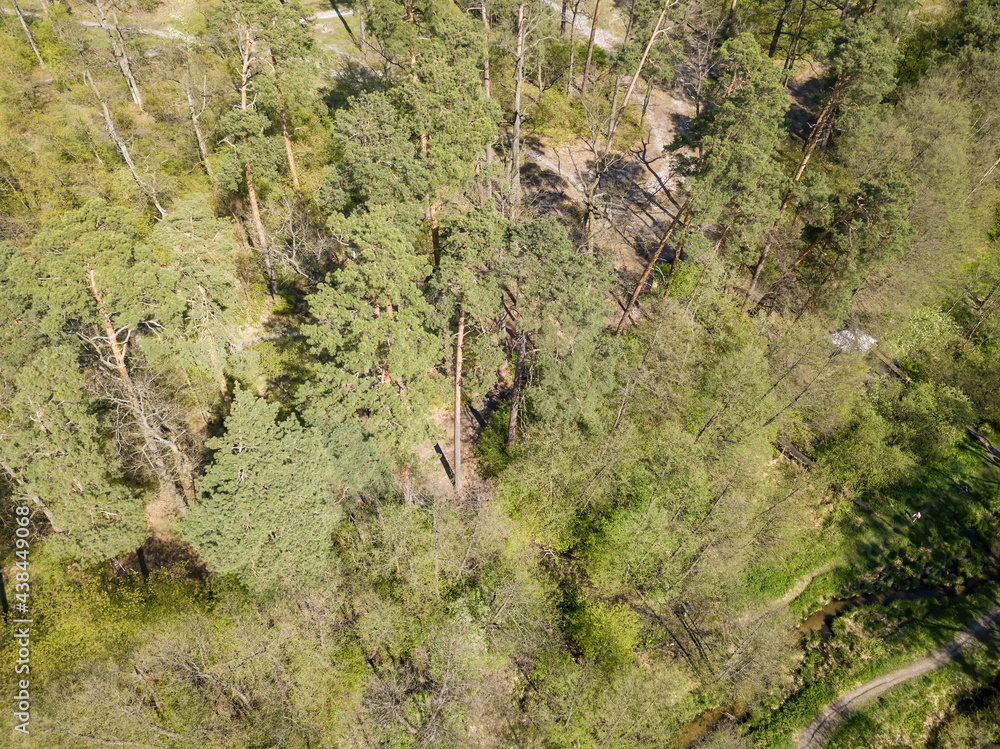 Green forest in spring. Aerial drone view. Green forest in spring. Aerial drone view.