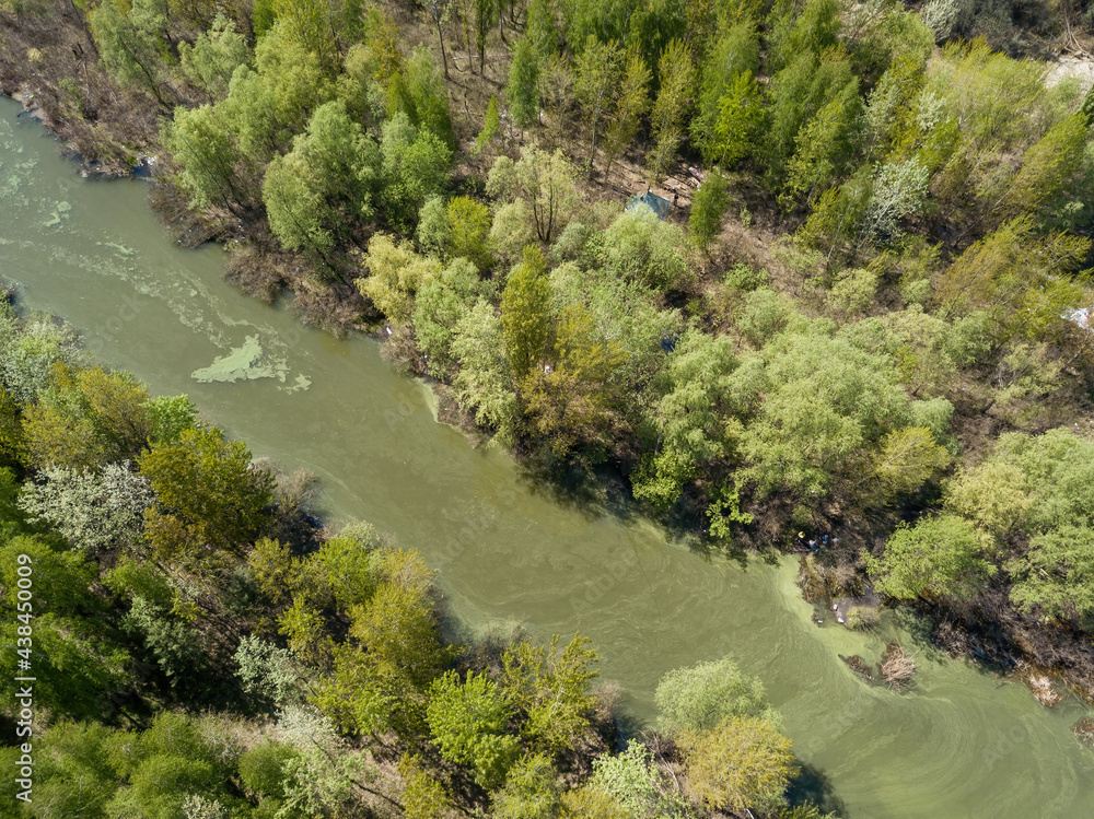 The river among the trees. Aerial drone view.
