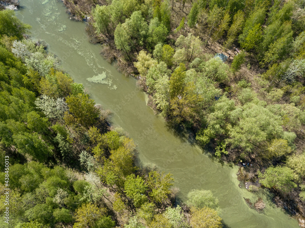 The river among the trees. Aerial drone view.