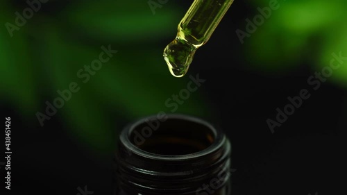 CBD Hemp oil, Hand holding droplet of Cannabis oil against black background. Alternative Medicine. droplet dosing a biological and ecological hemp plant herbal pharmaceutical cbd oil. photo