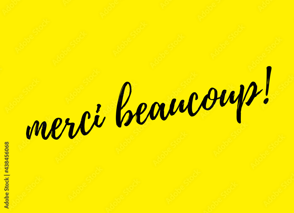Merci Beaucoup French Thank You Greeting Card -  Canada