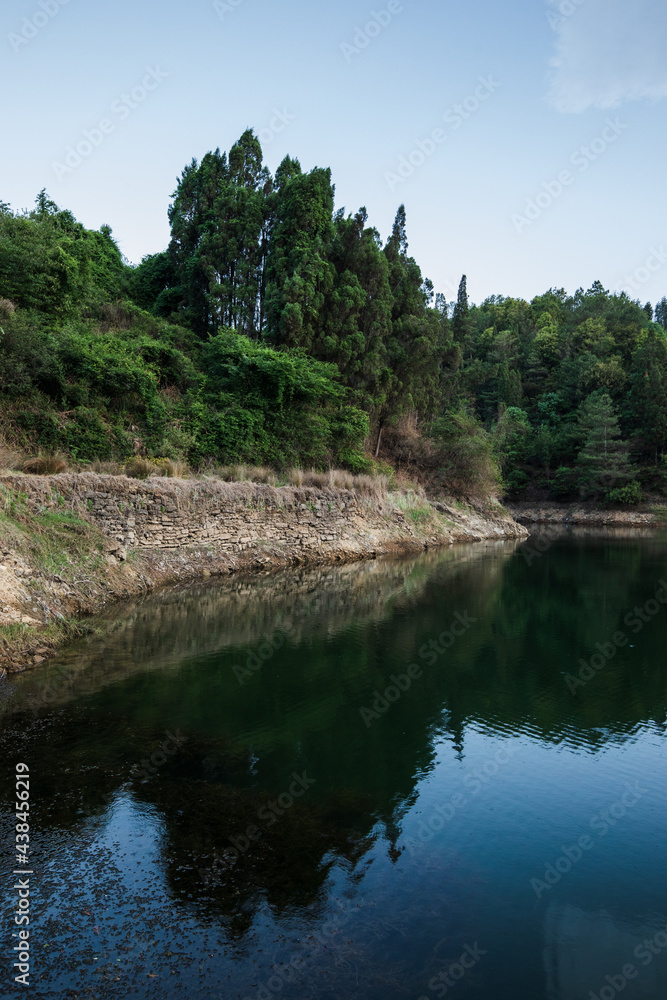 Obraz premium Lake and green trees in a beautiful morning spring.
