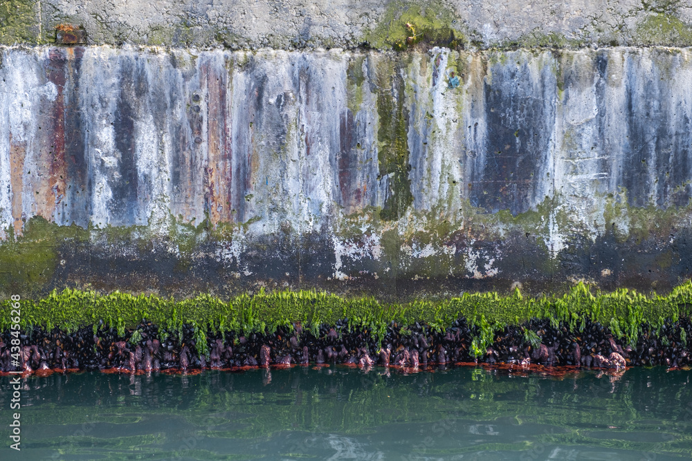 dirty mossy concrete surface, texture or background, old pier wall,