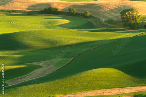 Green rolling hills of farmland wheat fields seen from the Palouse in Washington State USA