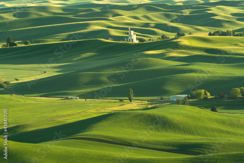 Green rolling hills of farmland wheat fields seen from the Palouse in Washington State USA photo