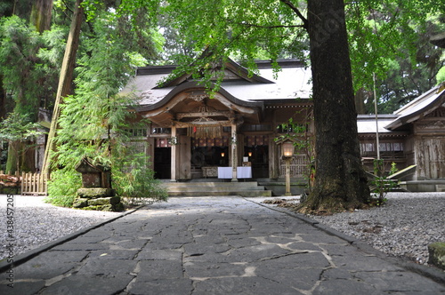 神社の境内ーprecincts of a shrine