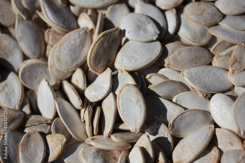 sunflower seeds background