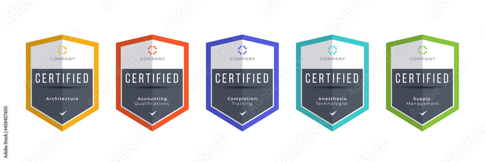 Certified logo badge. Criteria level digital certificate with shield logo line. vector illustration icon secure template.