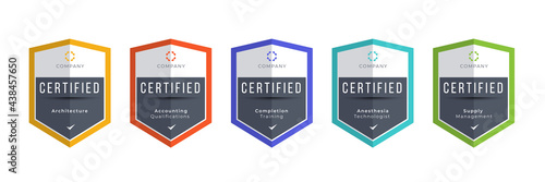 Certified logo badge. Criteria level digital certificate with shield logo line. vector illustration icon secure template. photo