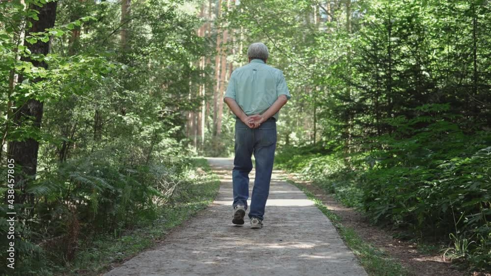 Senior active fit man walking on the forest patway, country walk Senior active fit man walking on the forest patway, country walk