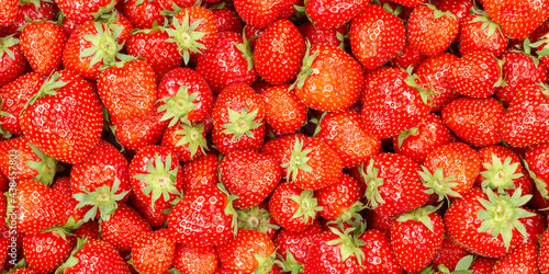 Strawberries berries fruits strawberry berry fruit panoramic view background