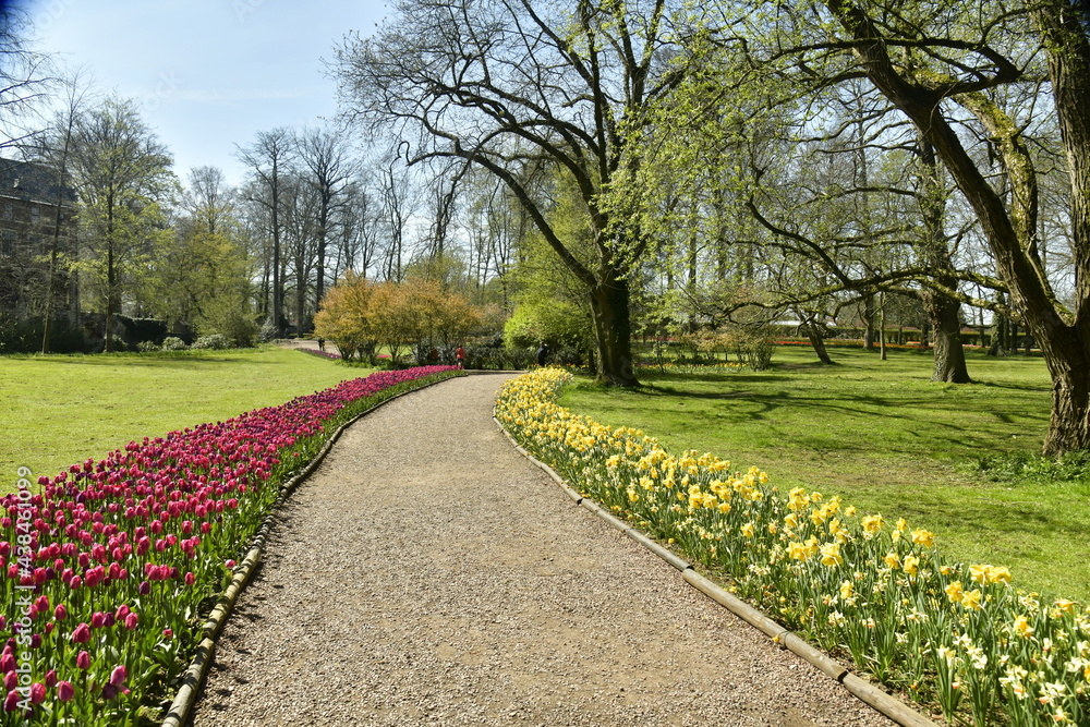Allée entre les parterres de tulipes par milliers ,pelouses au bois du domaine du château de Grand Bigard à l'ouest de Bruxelles