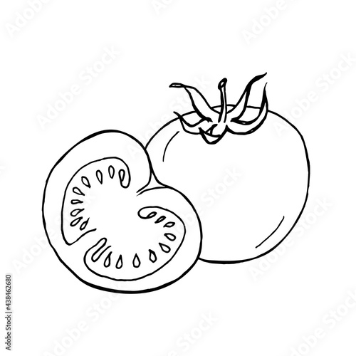 A whole and half tomato on a white background.Vector tomatoes can be used in menus,textiles, and coloring pages
