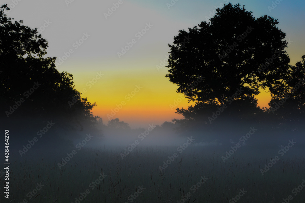 Fototapeta premium widoczna mgła przed wschodem