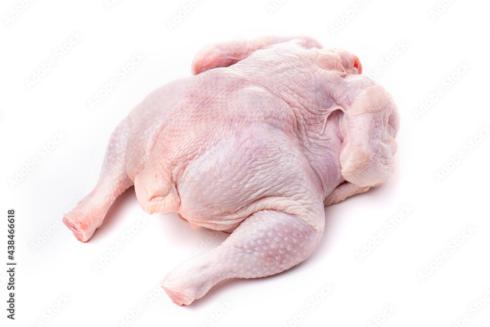 A whole chicken carcass on a white background.