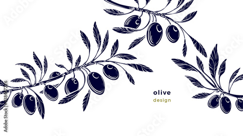 Olivet template Vector silhouette of stick, fruit