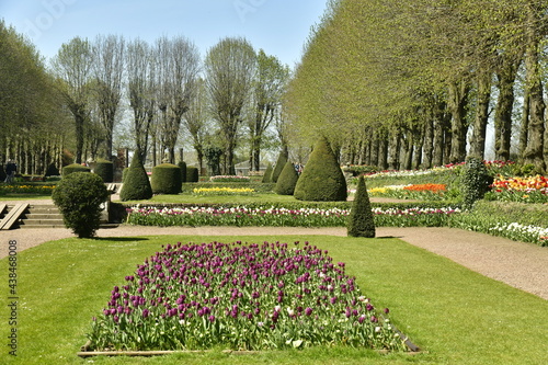 Принти на полотні Parterre de tulipes entre les deux allées au jardin français du domaine du châte