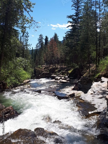 mountain river in the forest