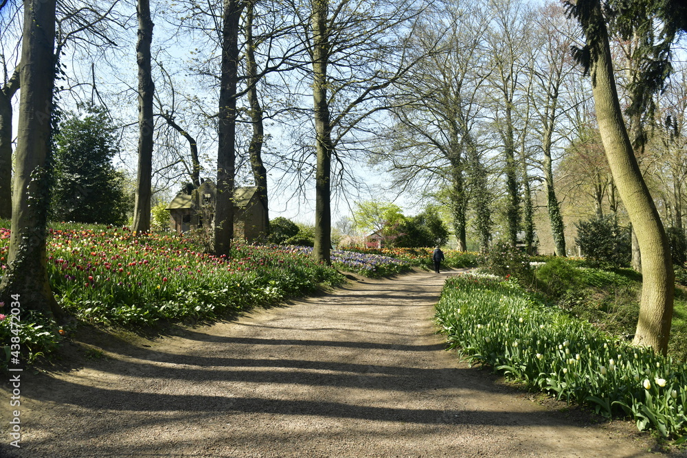 Allée en terre entre les fleurs dans le bois du domaine au Château de Grand-Bigard à l'ouest de Bruxelles 