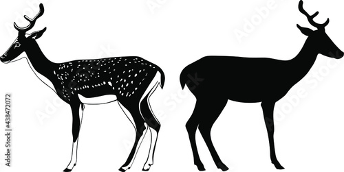 Black and white image of a deer vector illustration