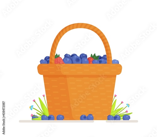 Vector illustration of an isolated blueberry basket. Wicker basket with blueberries realistic vector illustration isolated on white.