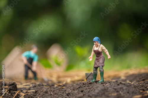 Farmer's agricultural harvesting concept in the garden. Simple living and farming for rural households. Miniature macro and blur background