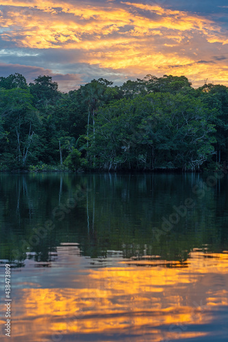 Amazon rainforest vertical sunset reflection in Yasuni national park. The Amazon river basin is located in Brazil, Bolivia, Colombia, Ecuador, French Guyana, Peru, Suriname, Venezuela.