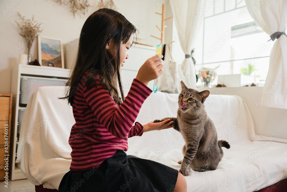 Asian Girl Child Feeding And Training Cat At Sofa