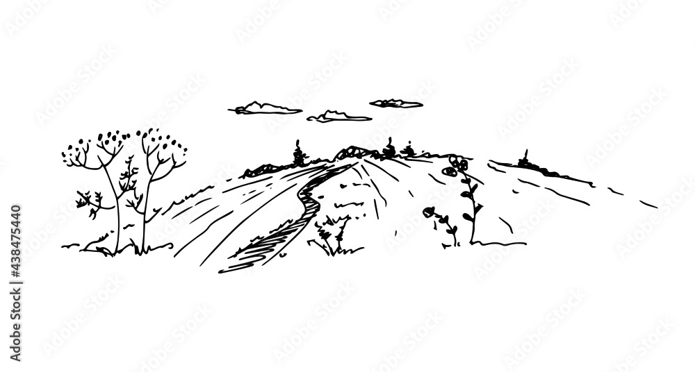 Rural landscape with field and trees. Linear drawing, sketch. Vector illustration of nature.