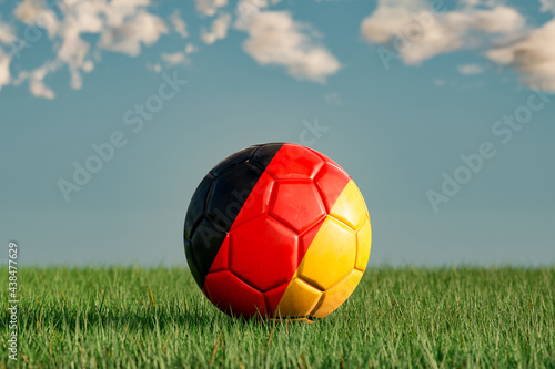 Soccer with the national colors of germany on a green meadow. Leather in slightly used look. Background blue with clouds. 3D illustration. 3D render.