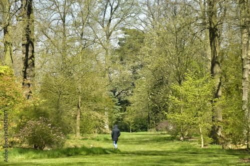 La nature luxuriante au début du printemps à l'arboretum de Wespelaar 