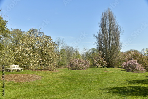 Fototapeta Naklejka Na Ścianę i Meble -  Pelouse garnie de variété d'arbres rares à l'arboretum de Wespelaar en Brabant Flamand 
