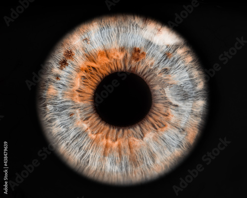 eye of a person