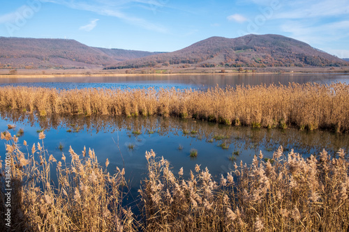 panorama of the lake of vico in lazio, province of viterbo photo
