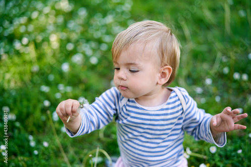Child holds a dandelion in his hand, standing on a green lawn