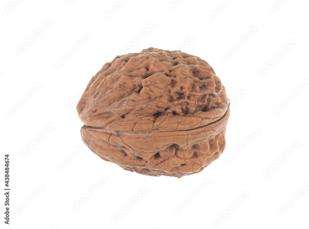 walnut isolated on white background walnut isolated on white background