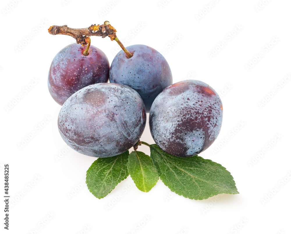 ripe blue plums with leaves