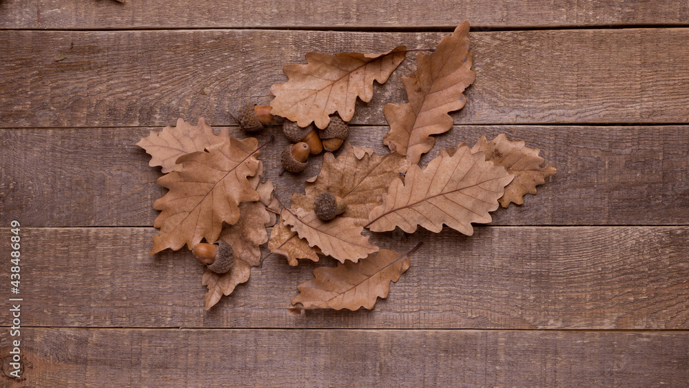autumn leaves on wood