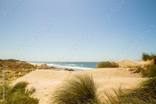 Fototapeta Naklejka Na Ścianę i Meble -  Sand beach dunes