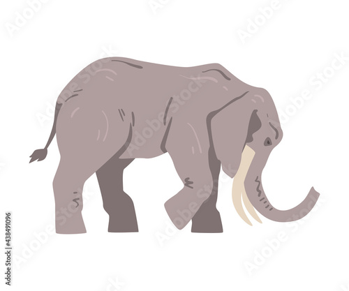 Standing Elephant as Large African Animal with Trunk, Tusks, Ear Flaps and Massive Legs Vector Illustration