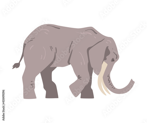 Standing Elephant as Large African Animal with Trunk  Tusks  Ear Flaps and Massive Legs Vector Illustration