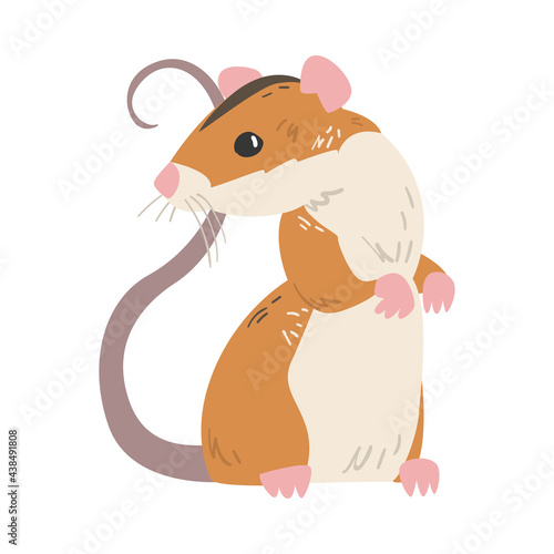 Field Mouse as Small Rodent with Long Tail and Dorsal Black Stripe Vector Illustration