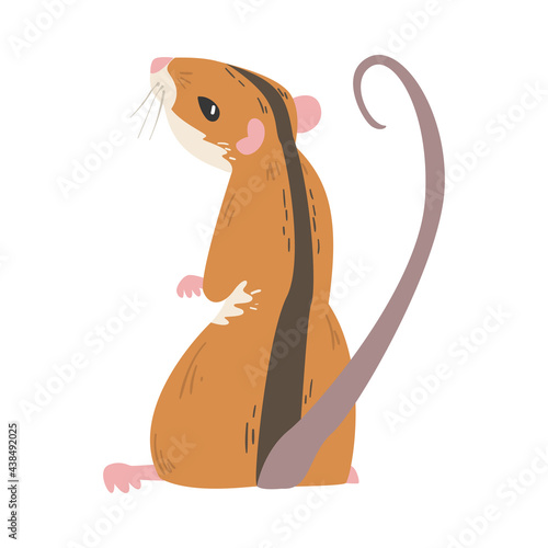 Field Mouse as Small Rodent with Long Tail and Dorsal Black Stripe Vector Illustration