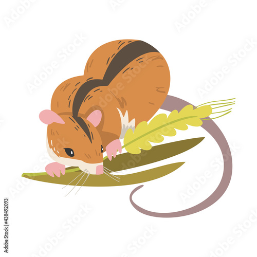 Field Mouse as Small Rodent with Long Tail and Dorsal Black Stripe Vector Illustration