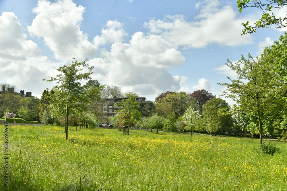 Naklejka premium Zone de gazon non tondu entre les arbres dominant l'étang principal aux Jardins Jean Sobieski à Laeken 