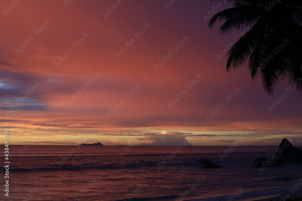 Beautiful red sky at sunset with a gray blue cloud spot over the night sea.Fantastic dusk colors with palm tree silhouette.Seascape background image with golden horizon and wave on the beach