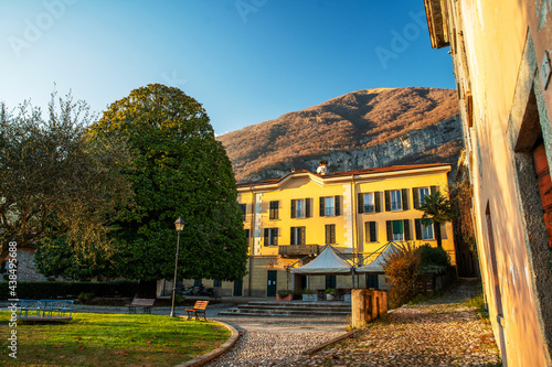Fotografie Wonderful large tree on Lake como ( maybe)  Beilschmiedia tarairi  tree