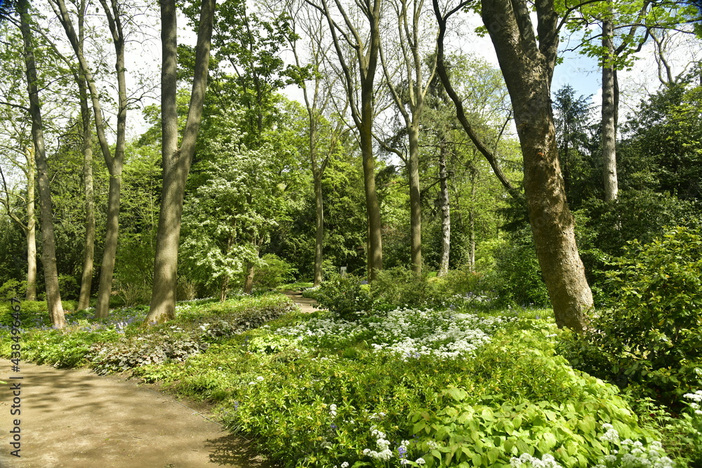 Fototapeta premium Parterres de variétés de fleurs entre les chemins et arbres au bois qui sépare les jardins de Jean Sobieski et celui du fleuriste à Laeken