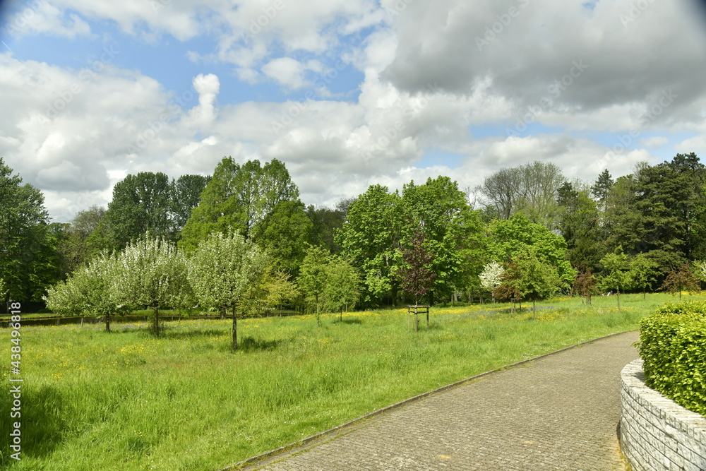 Jeunes arbres sur la pelouse principale aux Jardins Jean Sobieski à Laeken